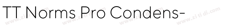 TT Norms Pro Condens字体转换